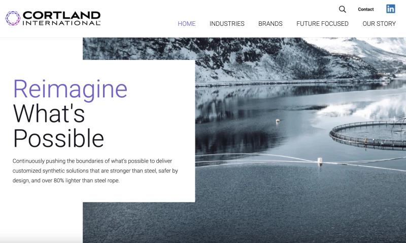 Otter Creative Studio - Cortland International