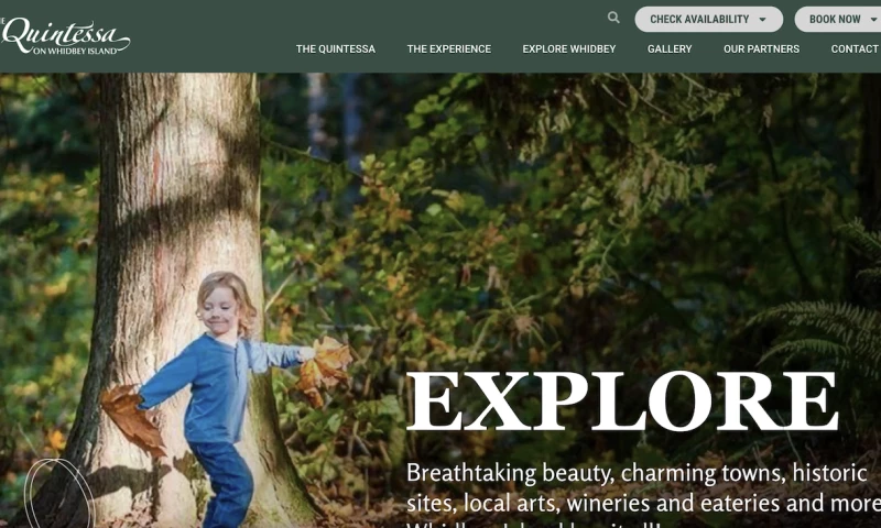 Otter Creative Studio - The Quintessa