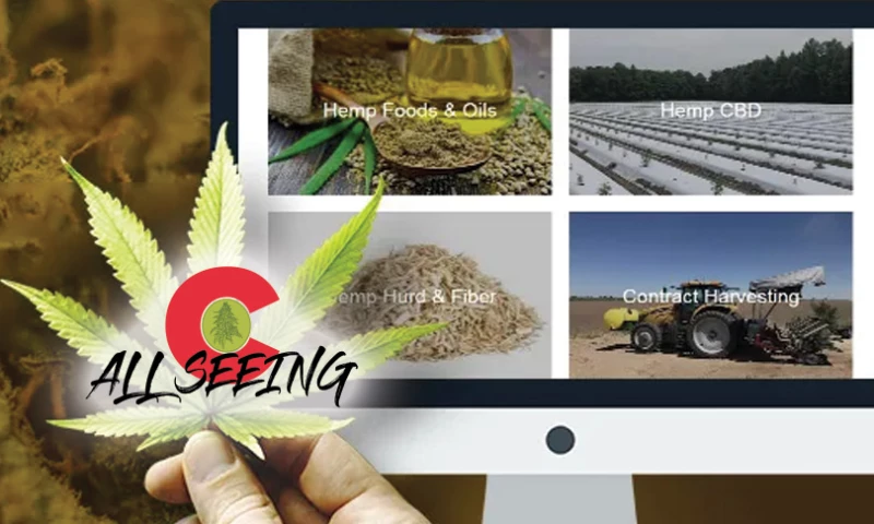 Rave Digital - Shopify Wholesaler Store Development