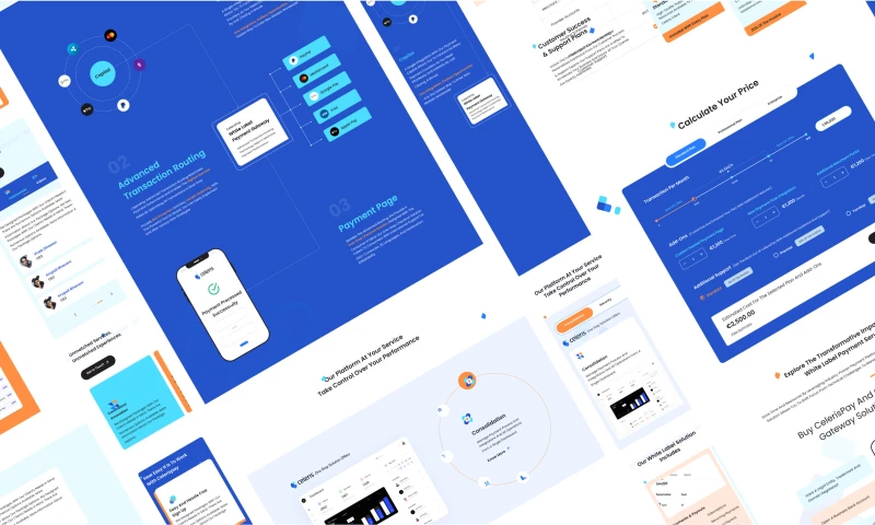 Lollypop Design Studio - Celeris Pay : Website Design & Development