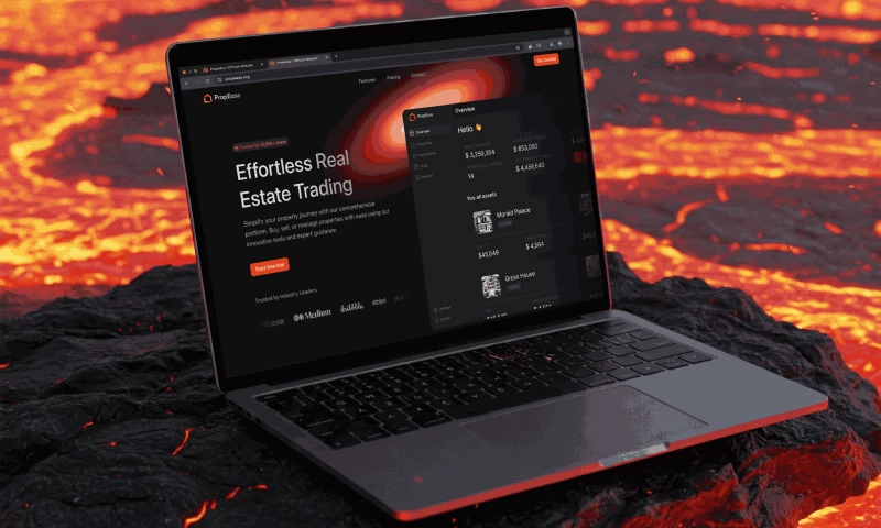 Brand Identity & Conversion-Focused Web Development