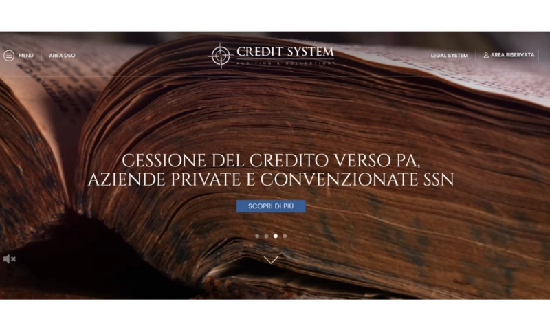 Credit System Auditing & Collection