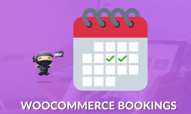 Travel Website Customization with WooCommerce Bookings