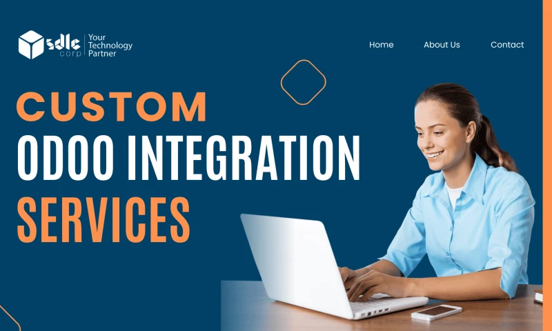 Custom Odoo Integration Services