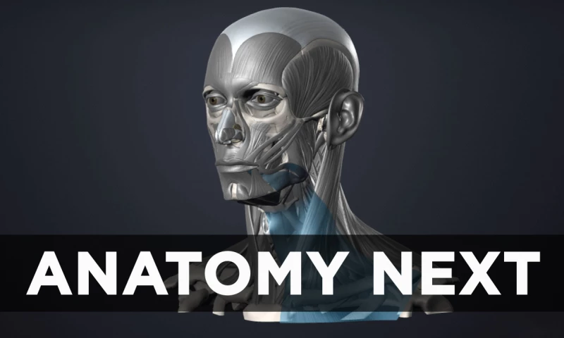 VironIT - AnatomyNext