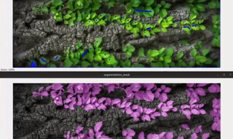 Haidata - Data & Image Annotation Services for Agricultural Robotics Company