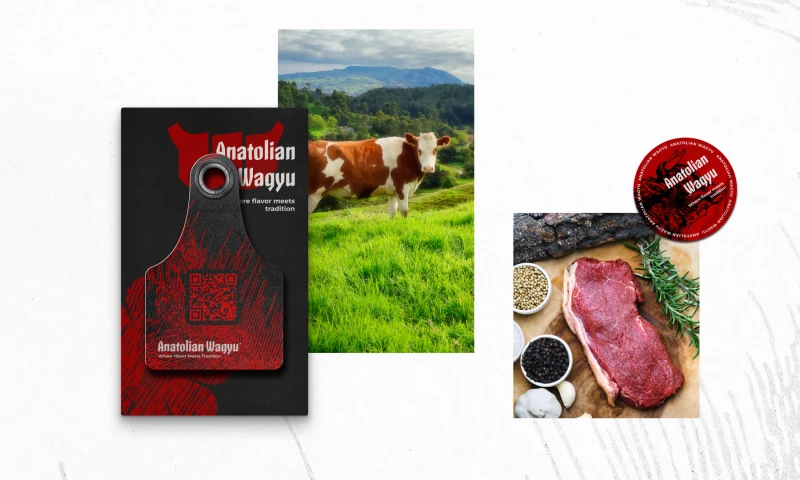 Red Flare DDA - Anatolian Wagyu