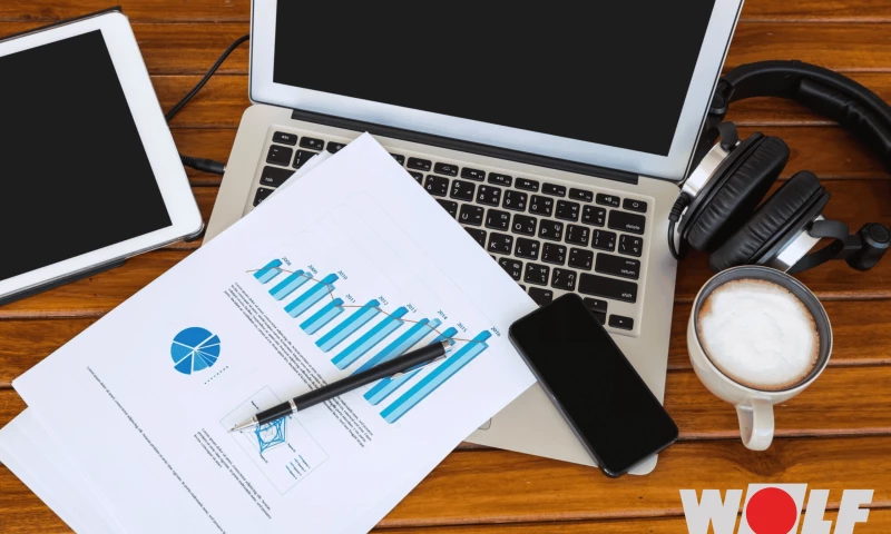 Sales Management Tool for Wolf GmbH