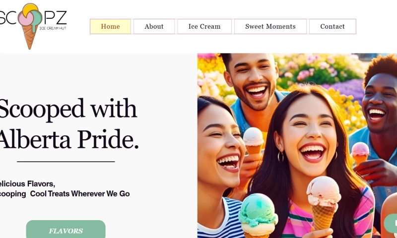 Envious Web Designs - Web Design & Media