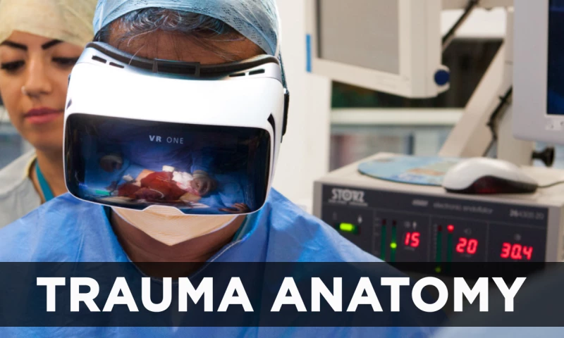 VironIT - Trauma Anatomy