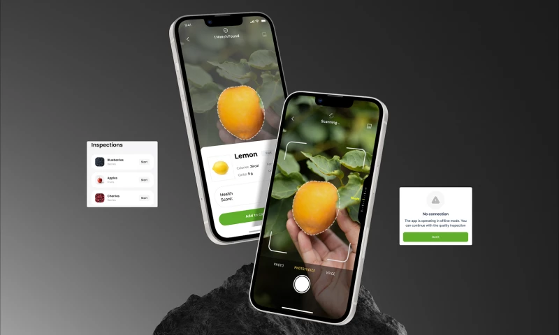 How SapientPro Accelerated the Inspection Process by 87.5%