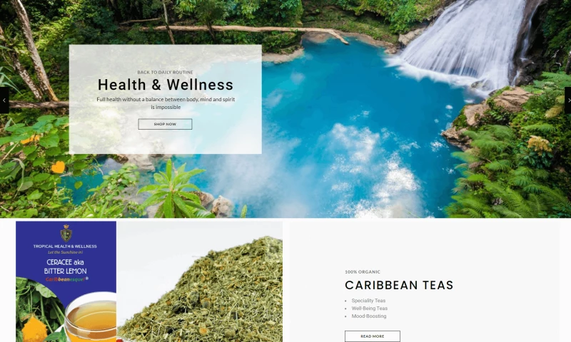 Health & Wellness Book Store (WooCommerce + Elementor)