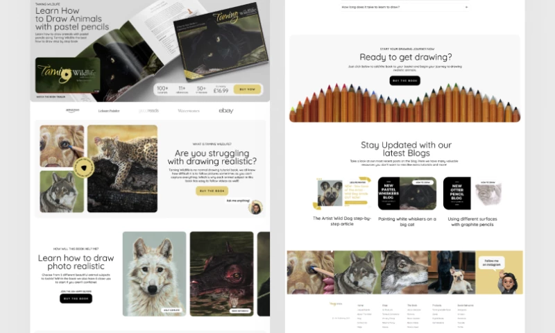 Raccoon - Taming Wildlife