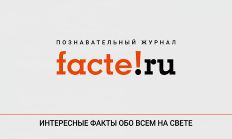 Clever Marketing - Targeting on Facebook for online magazine Facte.ru