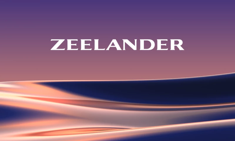 League Design Agency - Zeelander - Brand Identity and Website Design