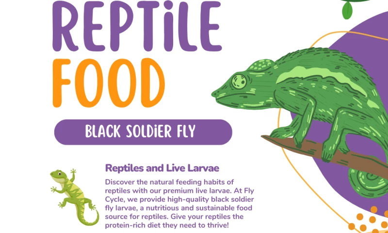 Nova Edge Marketing - Website Design / SEO