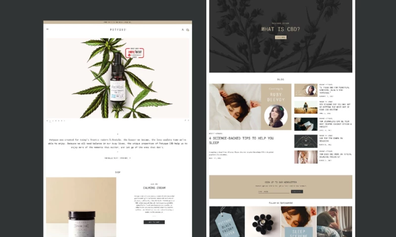 Brand Folk LTD - Potyque