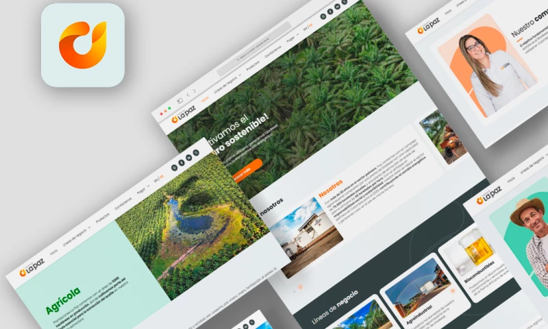 BOAD - Brain Obeat Advertising - Organización La Paz • WordPress Website Design