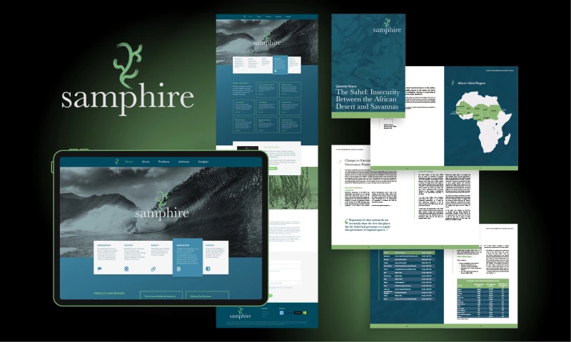 Marketing insurance for risk