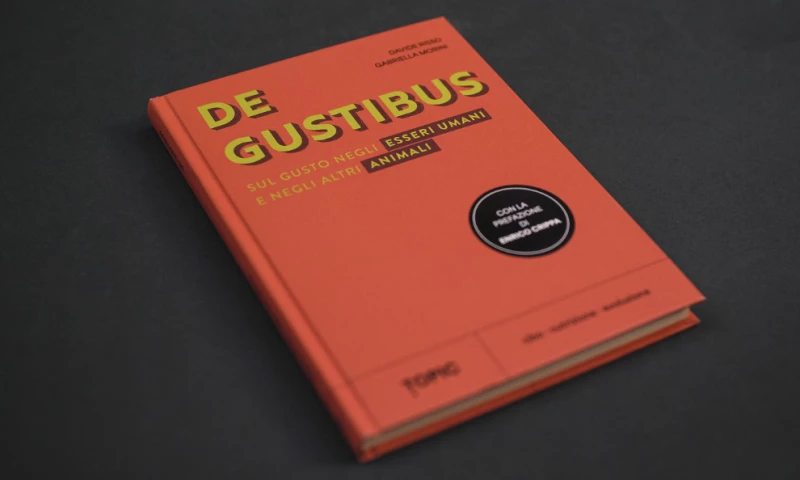 Studio Forward SRL - Topic