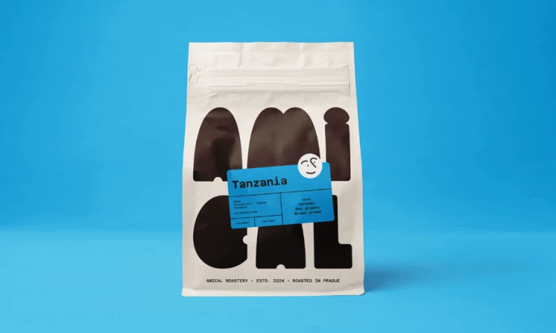 Melvin-Kevin Methe - Amical