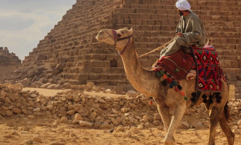 Travel Website, designed by Creatif