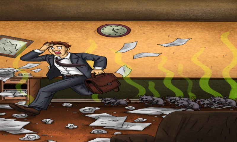 American Web Builders - Our Work