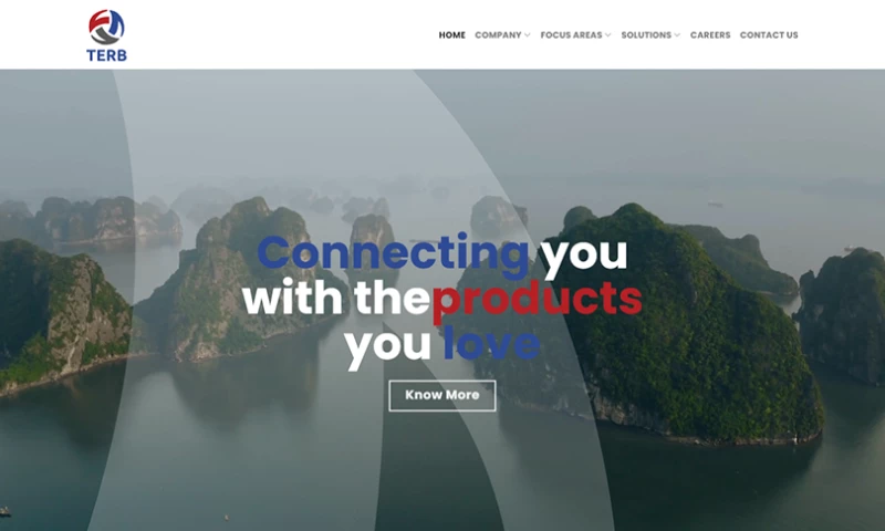 Dubai Web Designer - Terbjo