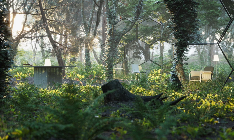 Reflections of Undisturbed Nature