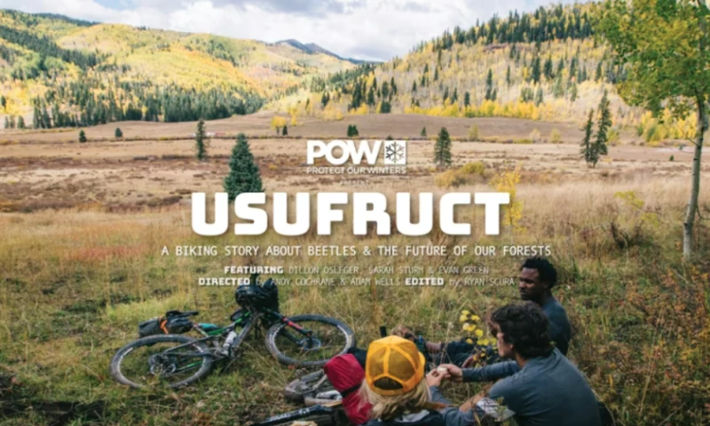 Adam Wells Studio LLC - Usufruct: A Biking Story About Beetles and the Future of Our Forests