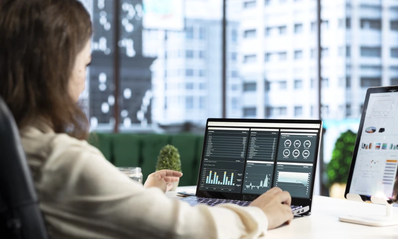 NetLS - Automated auditing solution for a family investment fund