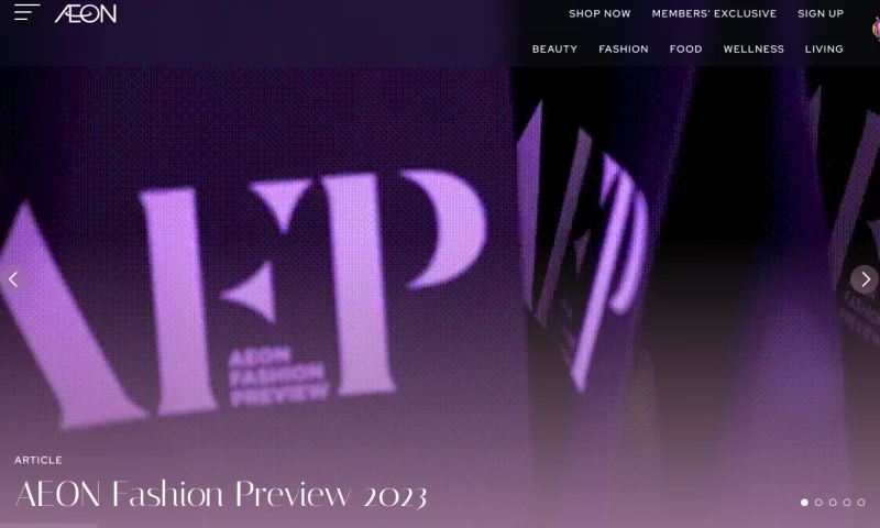 Website for an E-Commerce Retailer