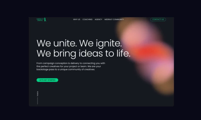 Vincent Reynaud - Meerkat Digital