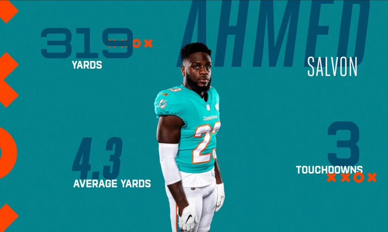 Miami Dolphins - Living Mural