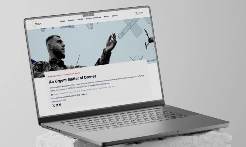 Filter - Elevating Website Functionality and User Experience for CEPA with WordPress