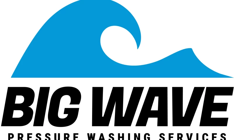 CBX Solutions - Big Wave Brand, Logo, Website