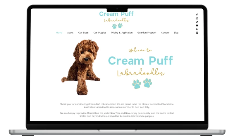 The Marketology Lab - From Page 15 of Google to Page 1