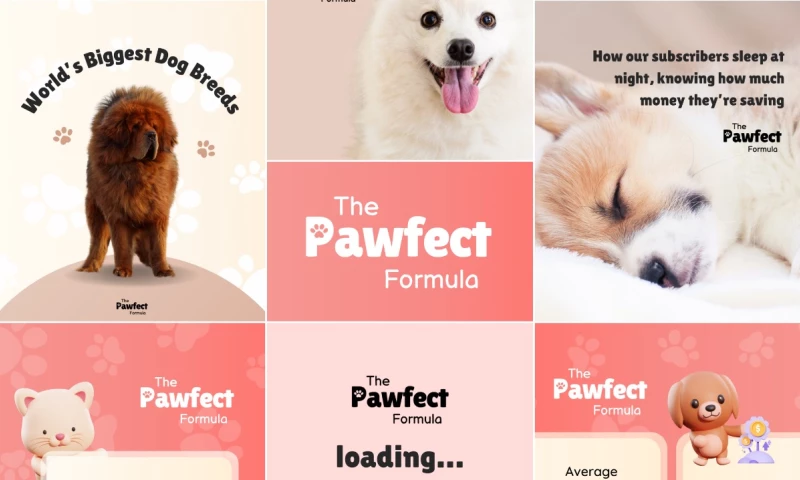 The Marketology Lab - Pawfecting a Pet Brand