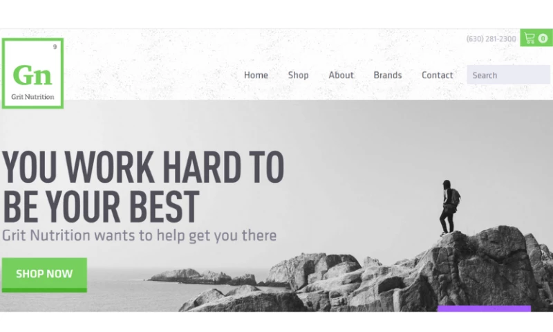 Cusom Web Dev for Nutritional Supplement Retailer - Grit Nutrition Inc.