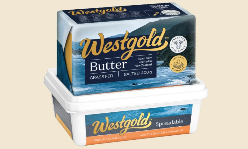 TikTok and Influencer Marketing