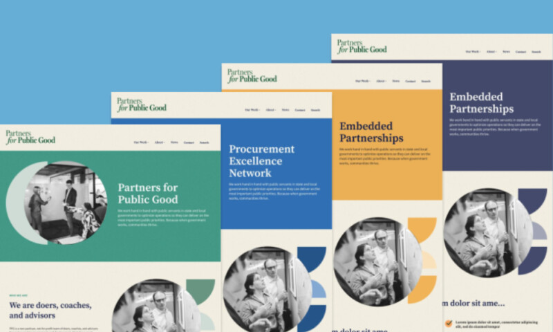 Bilberrry - Partners for Public Good