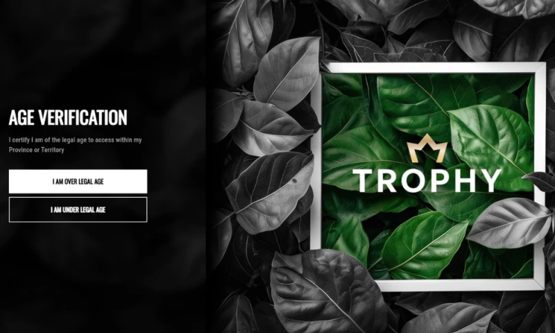 Haiku Steps Inc. - Trophy By Leaf