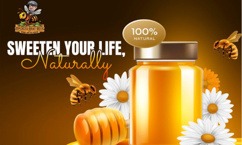 American Webs Master - Building an Engaging Online Presence for Spoiled Brat Bees