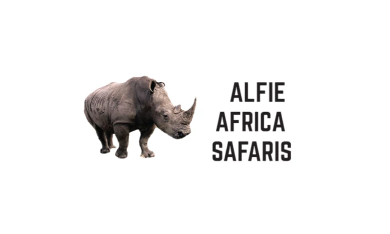 Webpinn - Alfie africa safaris
