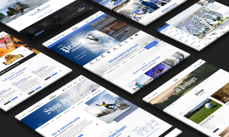 Custom Website Design for A Ski Resort