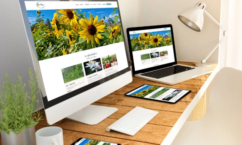 Hatchling Web - New Environmental Educator Website