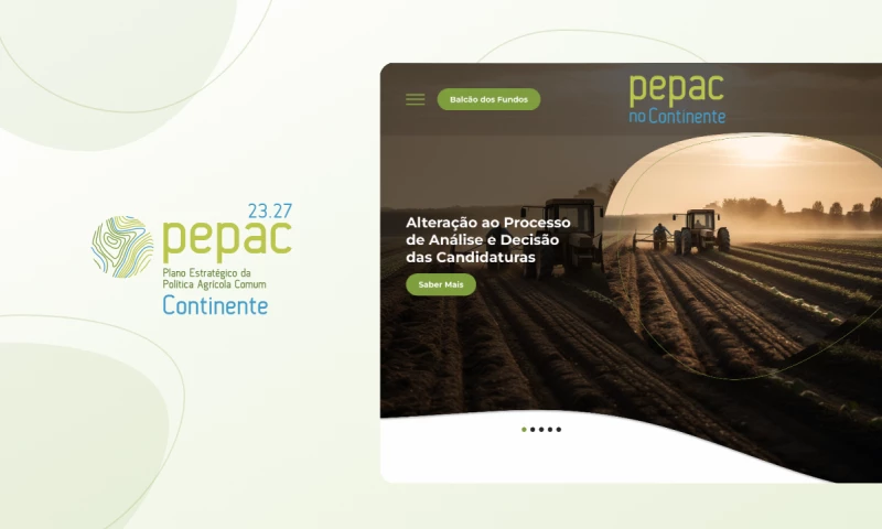 Buzzvel - Pepac no Continente