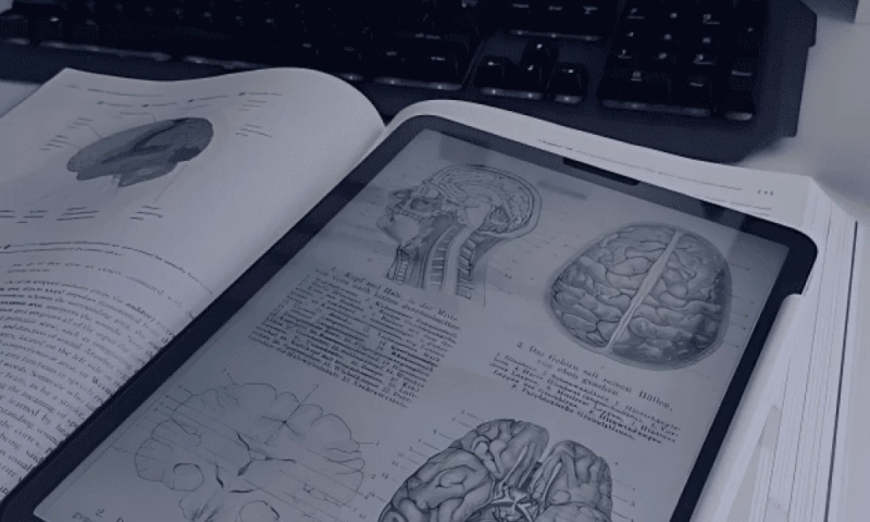 E-Learning Platform for Clinicians in Cancer Diagnosis and Treatment