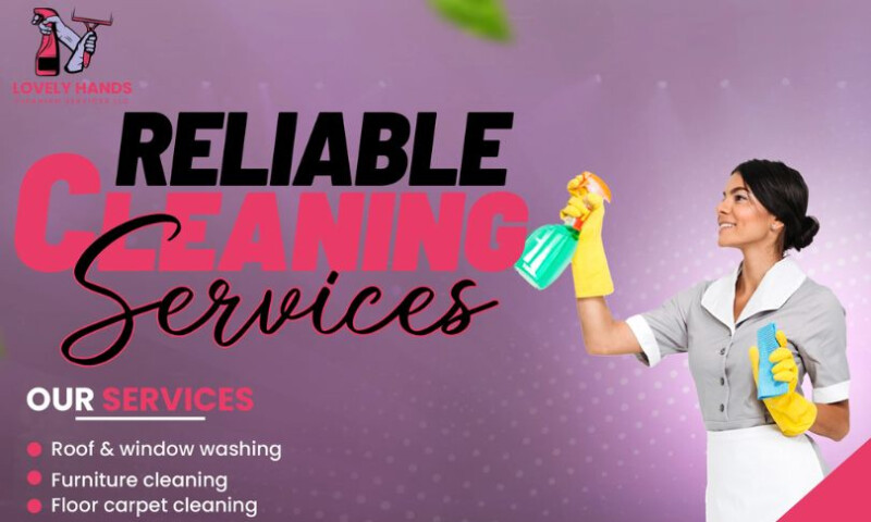 American Webs Master - Crafting a Clean and Professional Identity for Lovely Hands Cleaning Service LLC