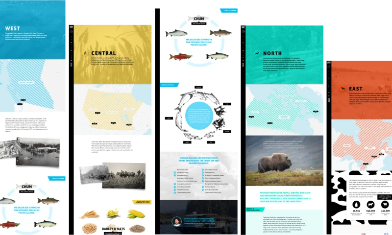 Denman Digital - Food for Thought